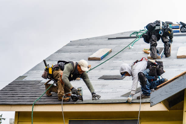 Professional Storm Damage Roof Repair technician working in Wheatcroft, KY